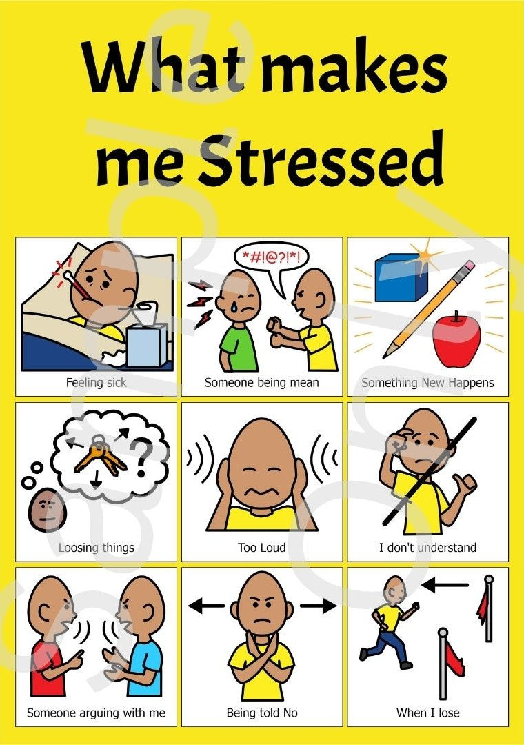 My Emotions Book