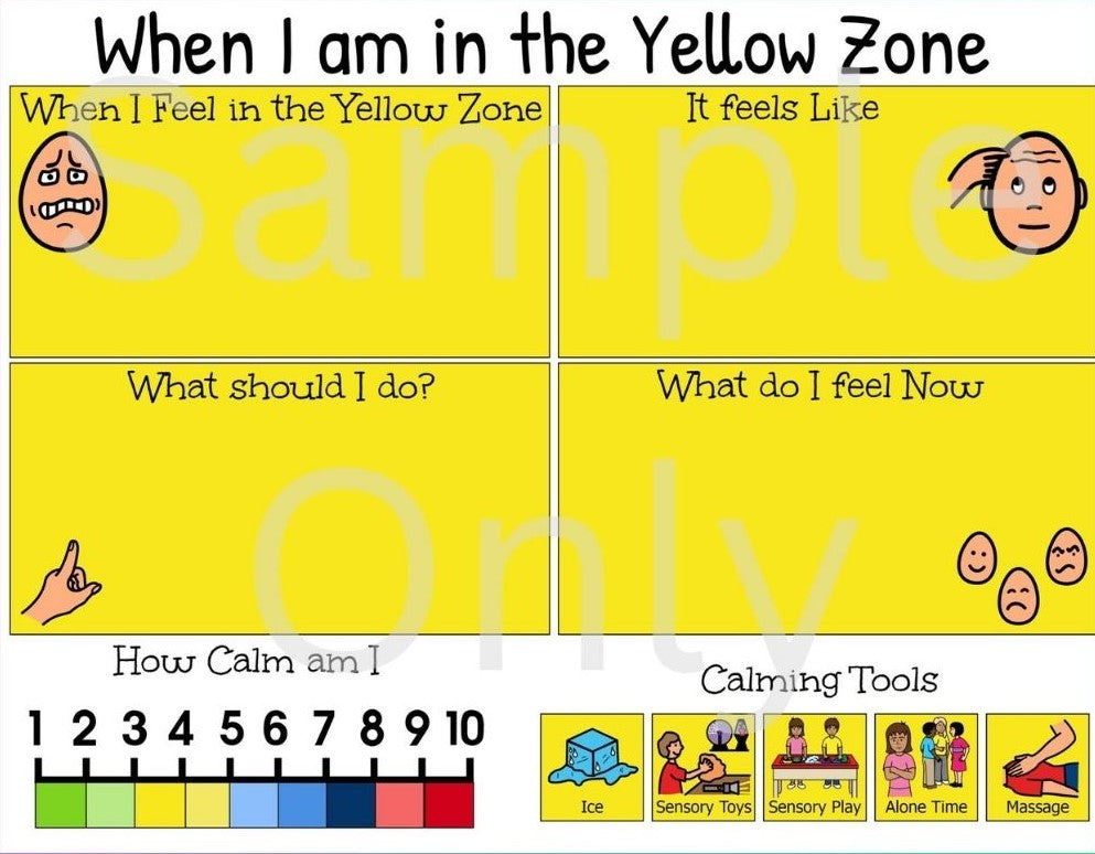 Zones of Regulation Book