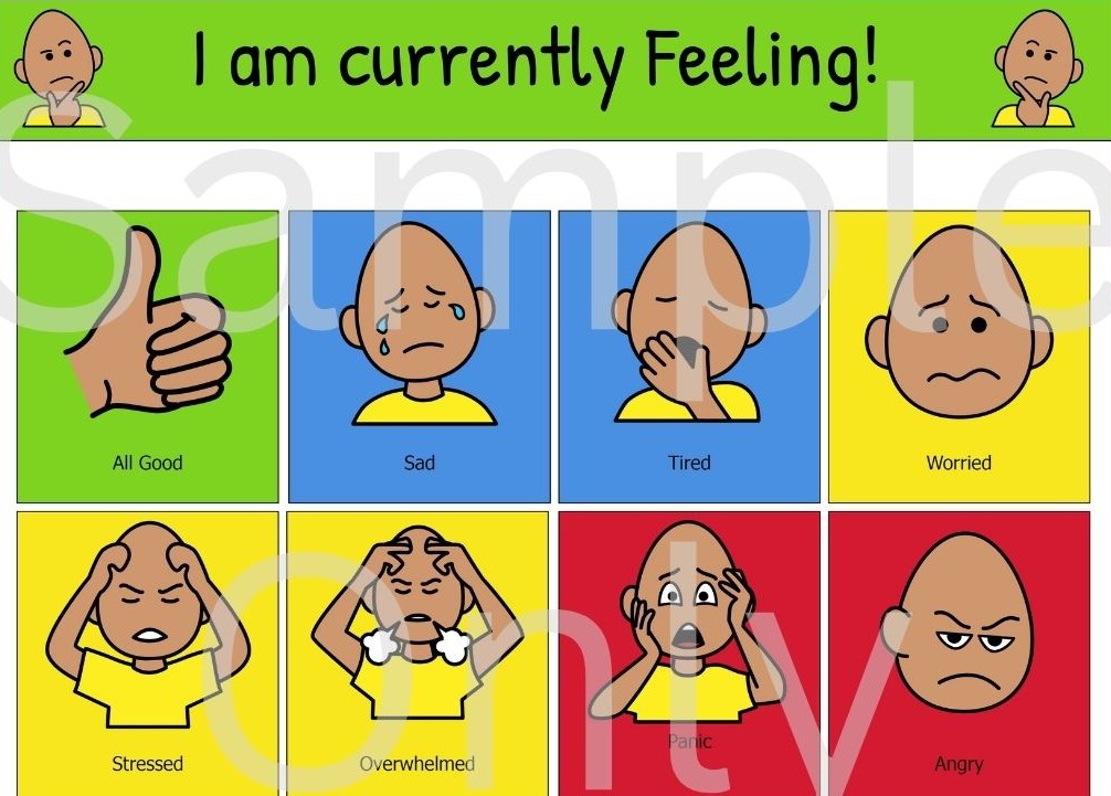 Emotional Regulation Visual Bundle - Laminated