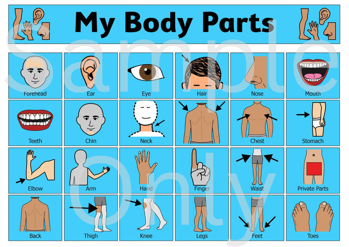 My Body Parts – T&T Visual Supports