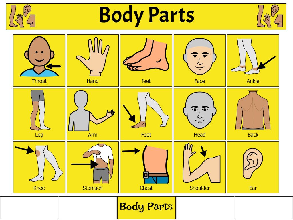 Communication Book with Tabs