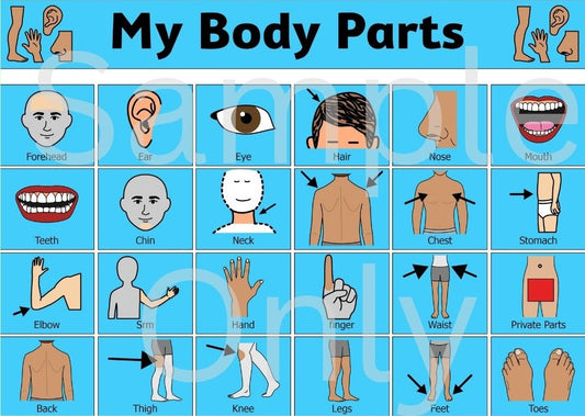 My Body Parts