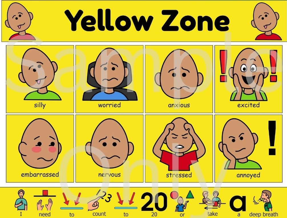 Emotional Regulation Visual Bundle - Laminated